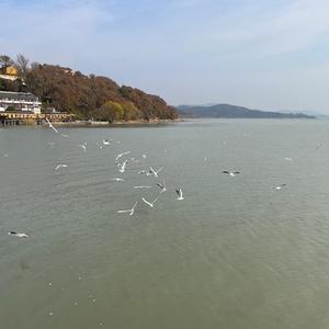 朱文兵头像