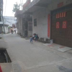 直率杨梓源头像
