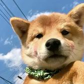 小小俞yuu头像