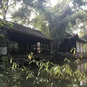 单纯雪梨G头像