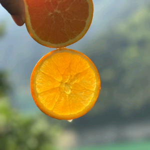 鱼小鱼儿短剧场头像