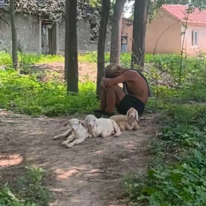 晓风残月头像