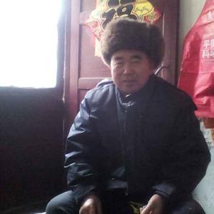 季老大_207601头像