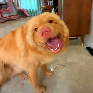 墨叔爱钓鱼头像