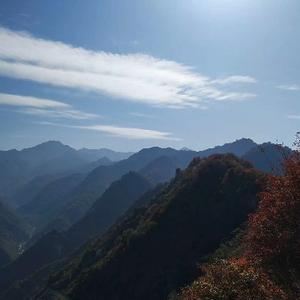 秦岭清风徐来头像