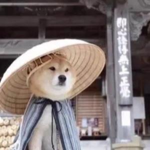 希之希望解说头像