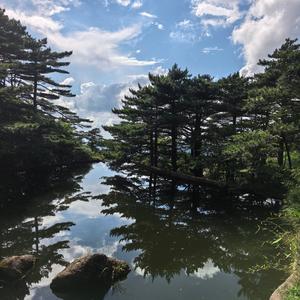 游荡的灵魂头像