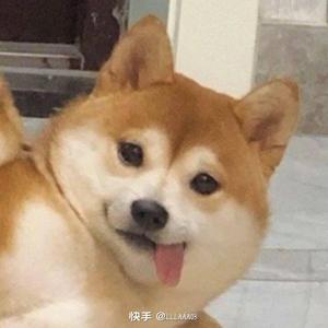 快乐少年123456789头像