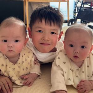 六青楚的家头像