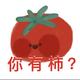 可可树上可可果头像