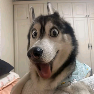 欧阳毅泽头像