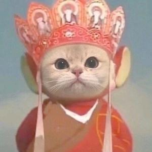重生之后的我换角度看世界头像