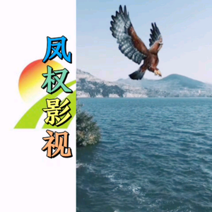 凤权影视头像