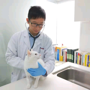 猫专科林小钦头像