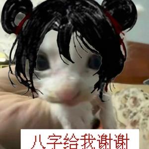 冷脸萌这一块/.头像