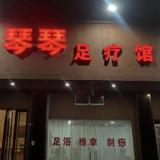 德才兼备的琴琴头像