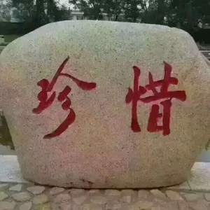 嘦怹头像