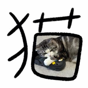 养只虎叫喵咪头像