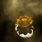 追赶人生之路 头像