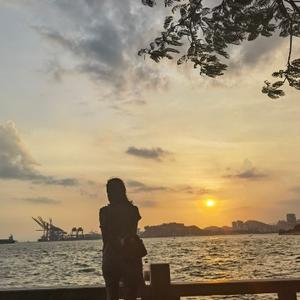 西凉河的醋鱼头像