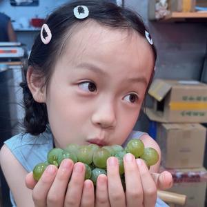 树角说哈哈头像
