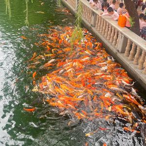 一路向前头像