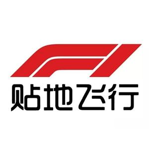 F1贴地飞行头像