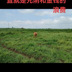 日月星辰8726头像