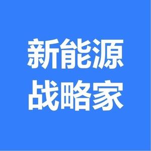新能源战略家头像