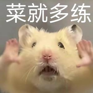 仁白头像