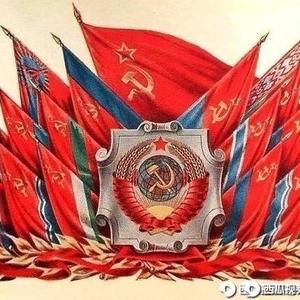 改革军丶联合军丶精苏头像