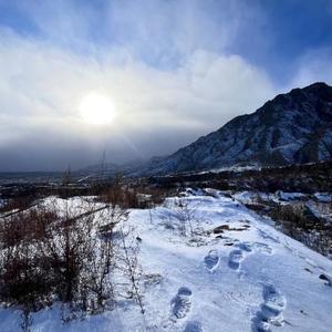 贺兰山的雪头像