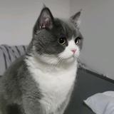 小孙20220528头像