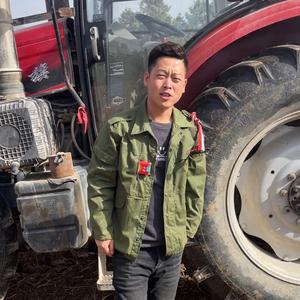 陈洋蛋头像