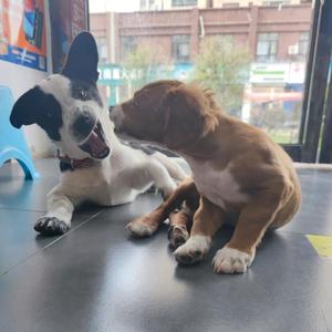 小新点点和我们头像