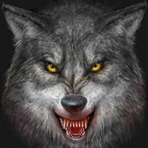 恶狼 头像