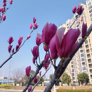 杨浩宸奶奶头像