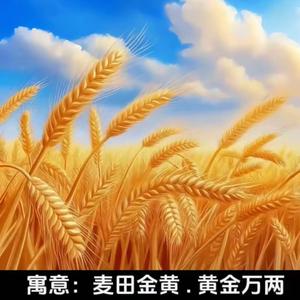 忆君明珠头像