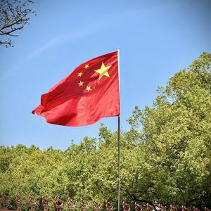 我是杨二哥呀头像