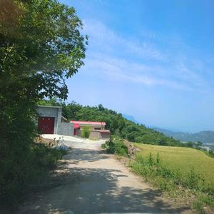 蔡suliang头像