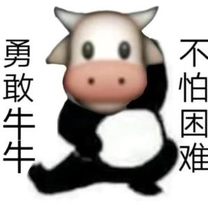 荔枝Lioaa头像