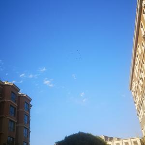 齐光明本明 头像