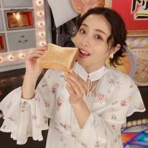 菠萝派专家组头像
