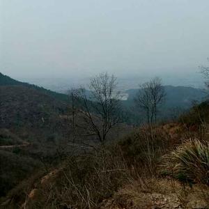 过余伤感的人 头像