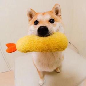 狗蛋儿03头像