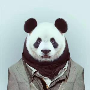 如风一样自由头像