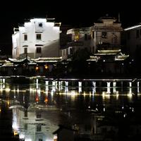 发财伊夫林5t9头像