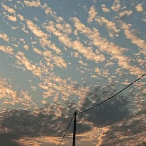 儒雅说体育头像