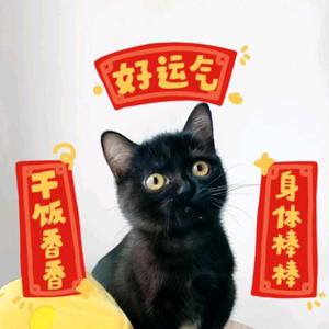 好运说头像
