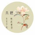木槿壹號头像